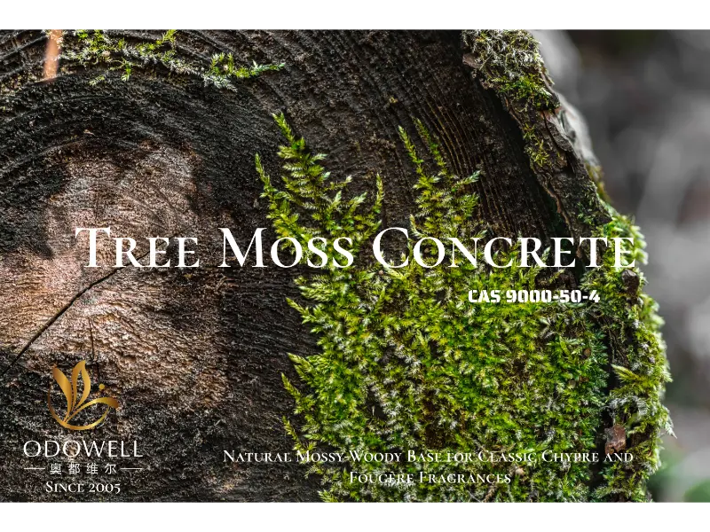 Tree Moss Concrete – Естествената мъхесто-дървесна основа на ODOWELL за класически шипрови и фужерни аромати