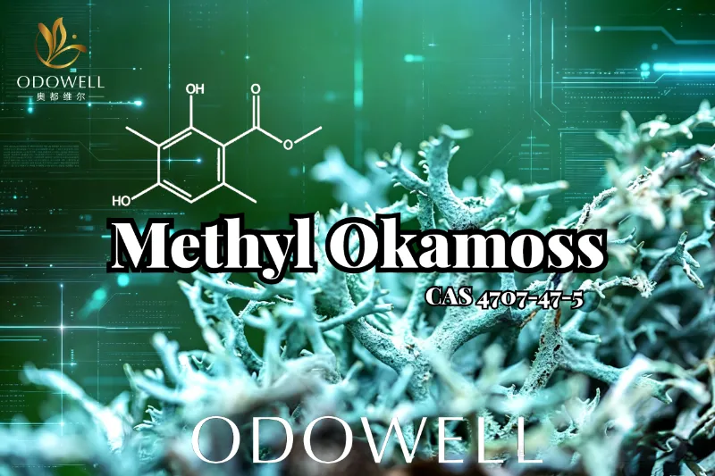 ​ODOWELL представя Methyl Okamoss: автентичен синтетичен дъбов мъх за майсторство на шипър и фужер