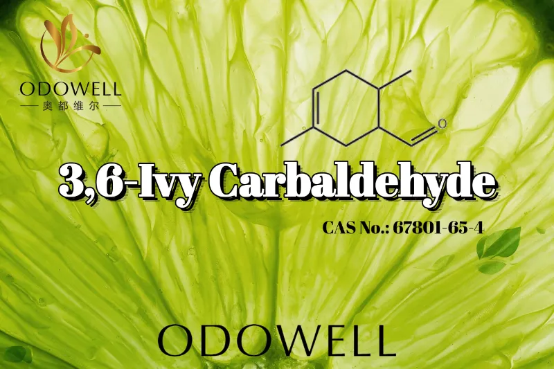 ​ODOWELL препоръчва 3,6-Ivy Carbaldehyde за приложения с наситено зелени и тръпчиви цитрусови аромати